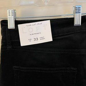 NEW WITH TAGS- Loft Velour Pants
